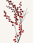Plakat - Mistletoe Kisses