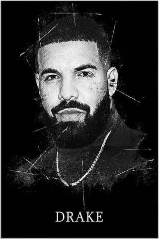 Plakat - Drake kunst