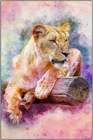Plakat - Farverig løve