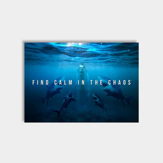 Plakat - Find calm in the chaos citat