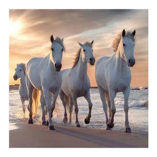 Tapet - Hvide heste