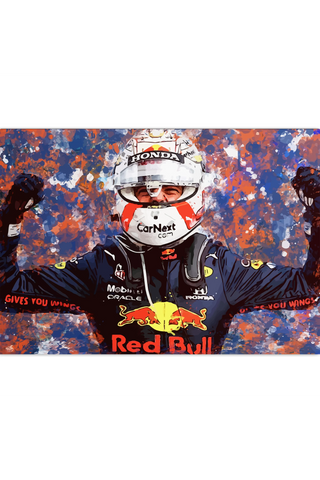 Plakat - Max Verstappen racerkører
