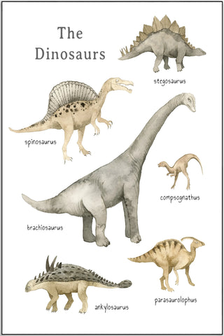 Plakat - The dinosaurs