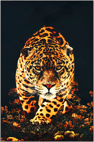 Plakat - Vild leopard
