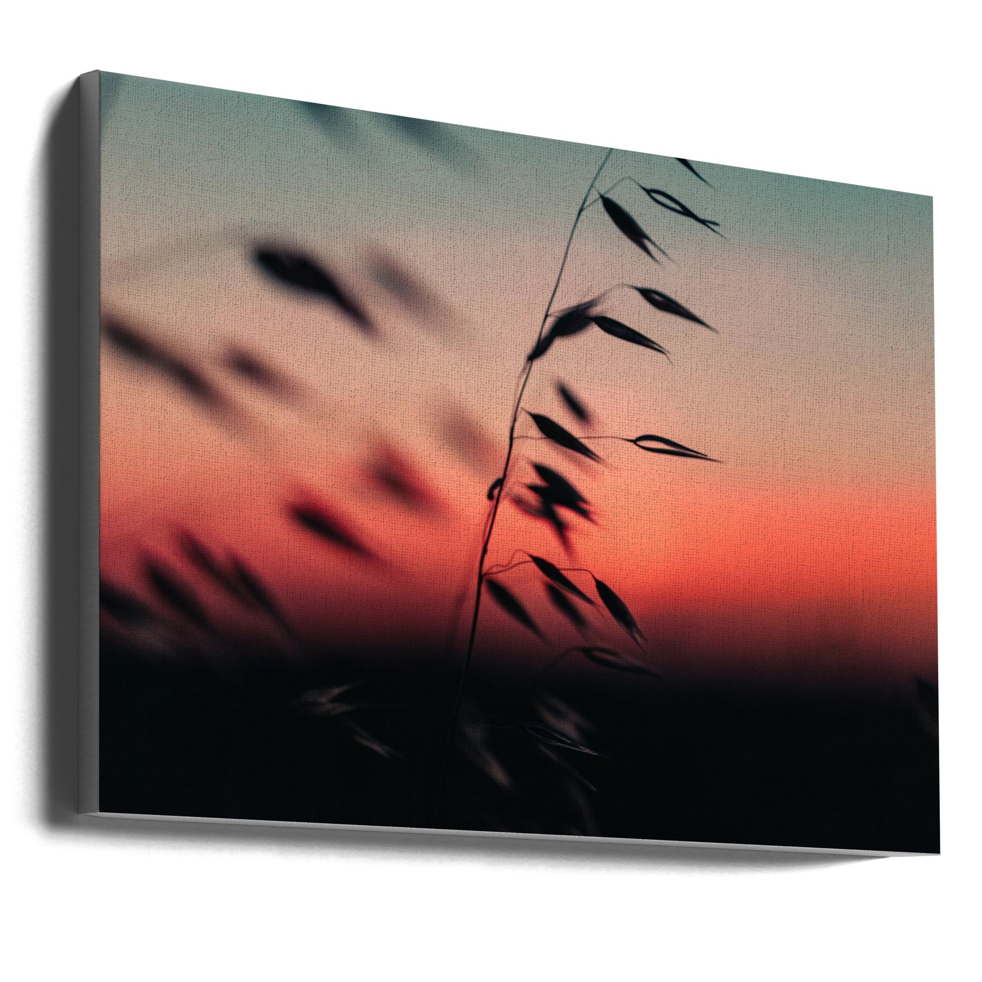 Akustik - Sunset Grass Fileld 02