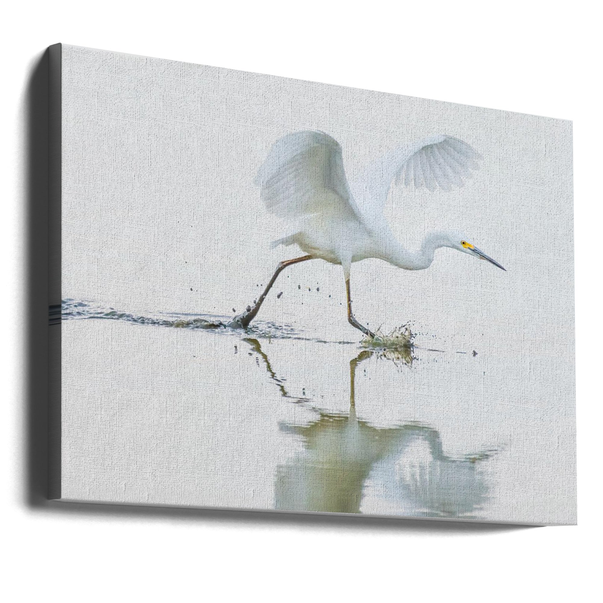 Canvas - by Xiaobing Tian