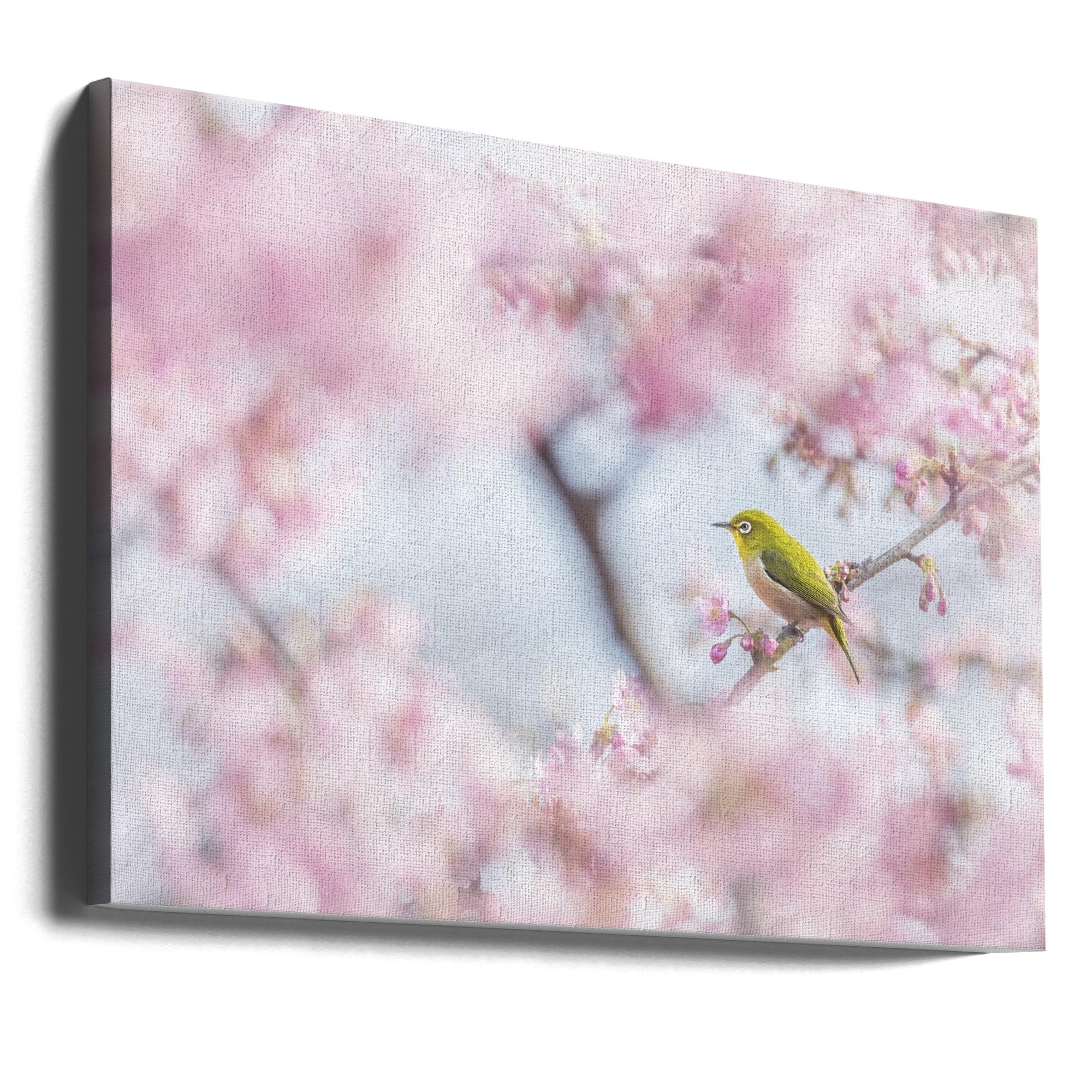 Canvas - Cherry-blossom color