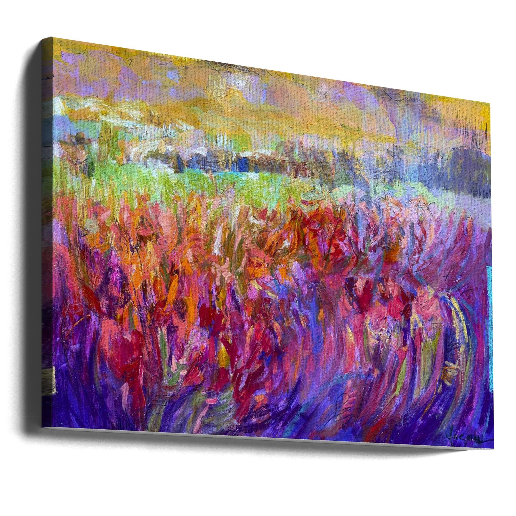 Canvas - Df041iris Essence