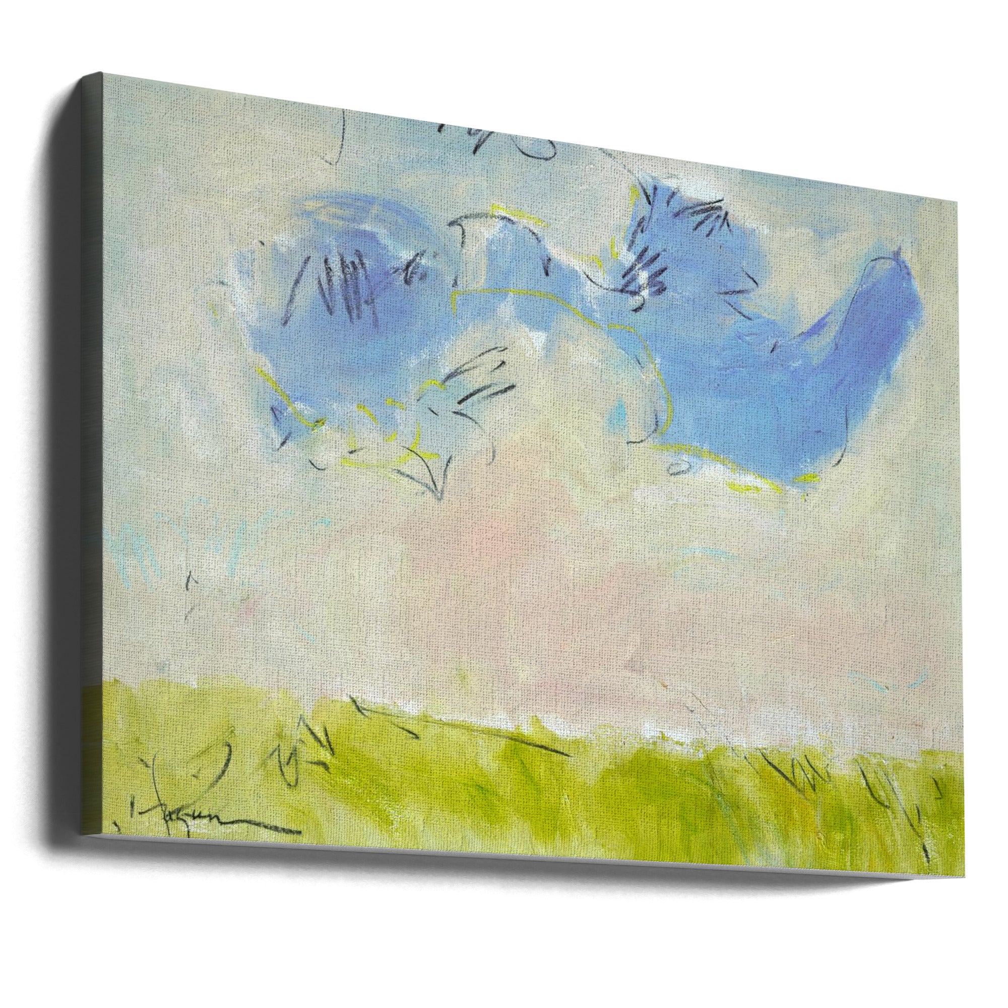Canvas - Df583 Cloud9