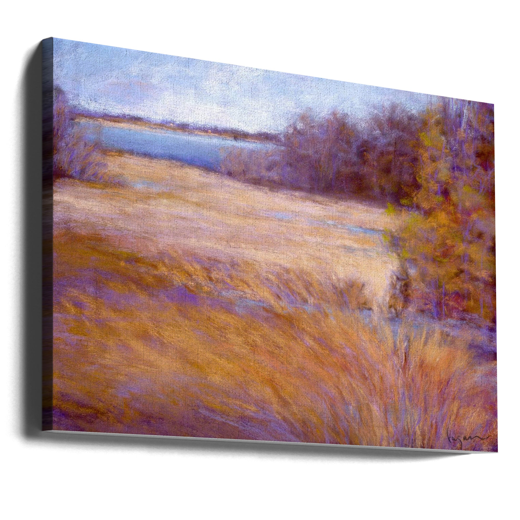 Canvas - Wintermarsh