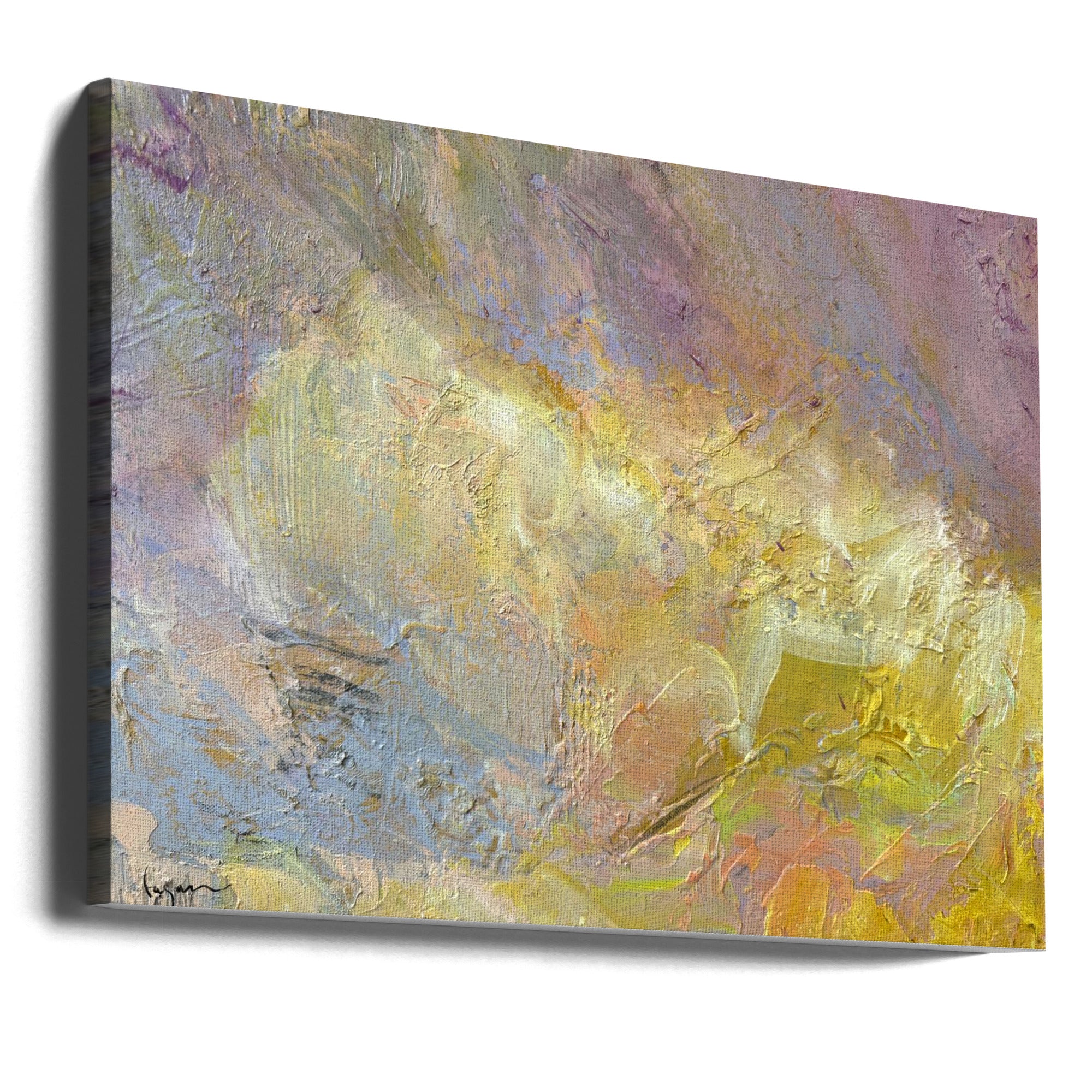 Canvas - Soaring16 5800