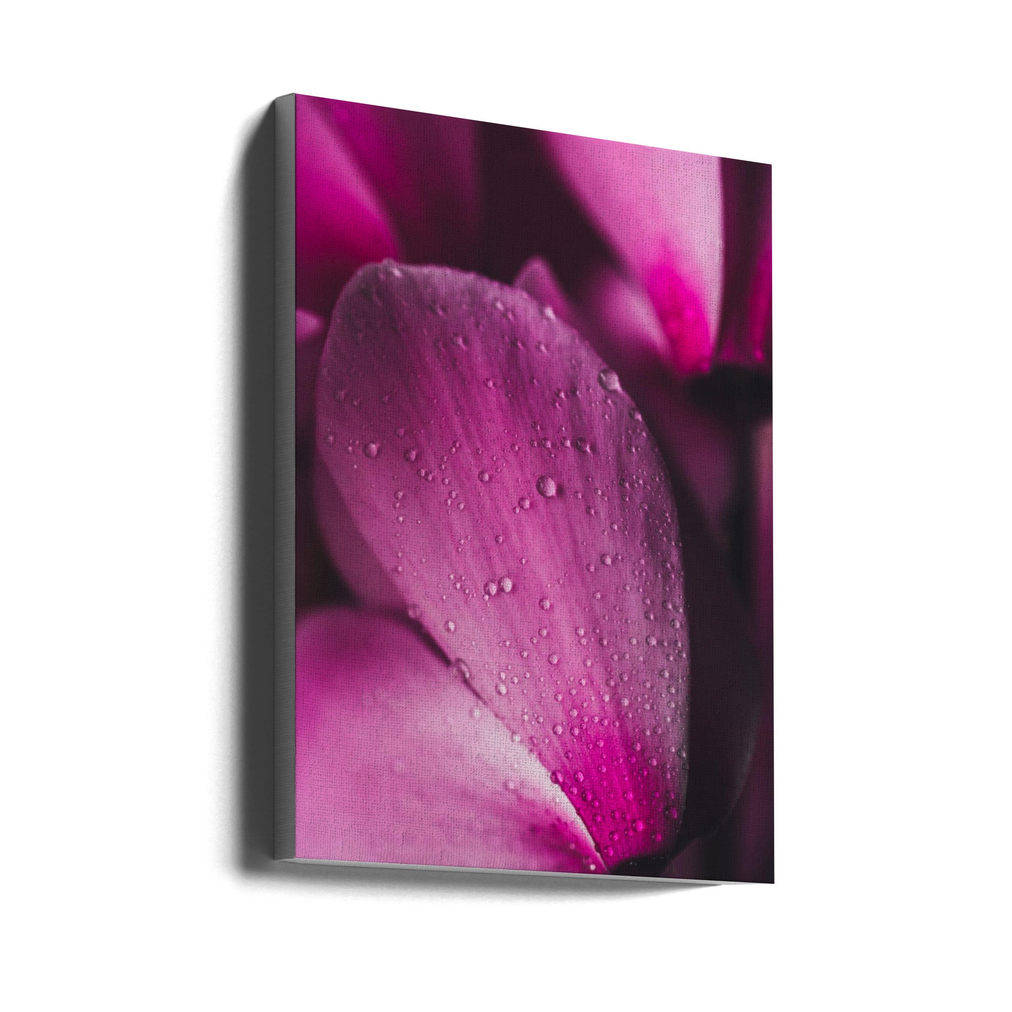 Akustik - Pink Flowers 02
