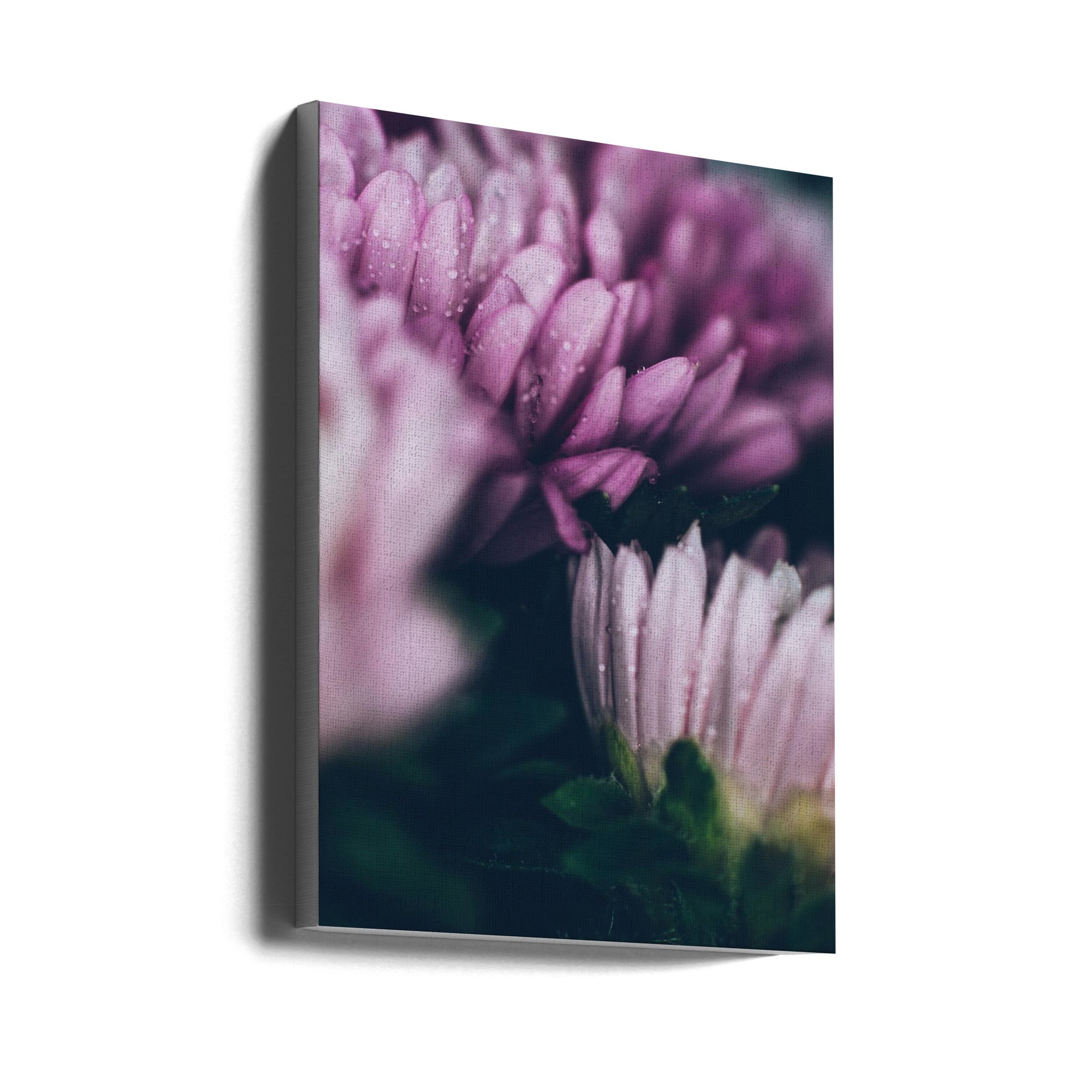 Akustik - Purple Flowers 20