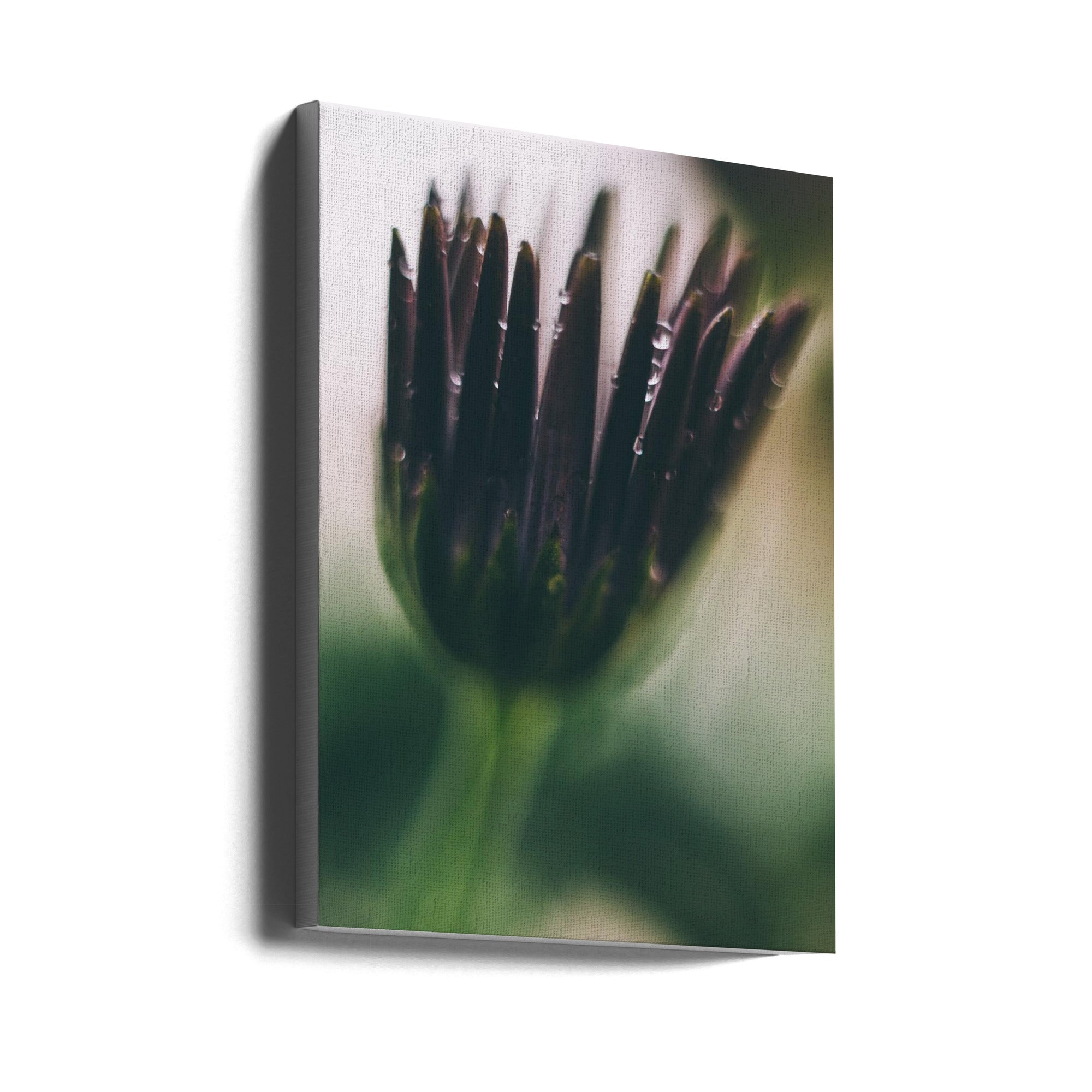 Akustik - Purple Flowers 03