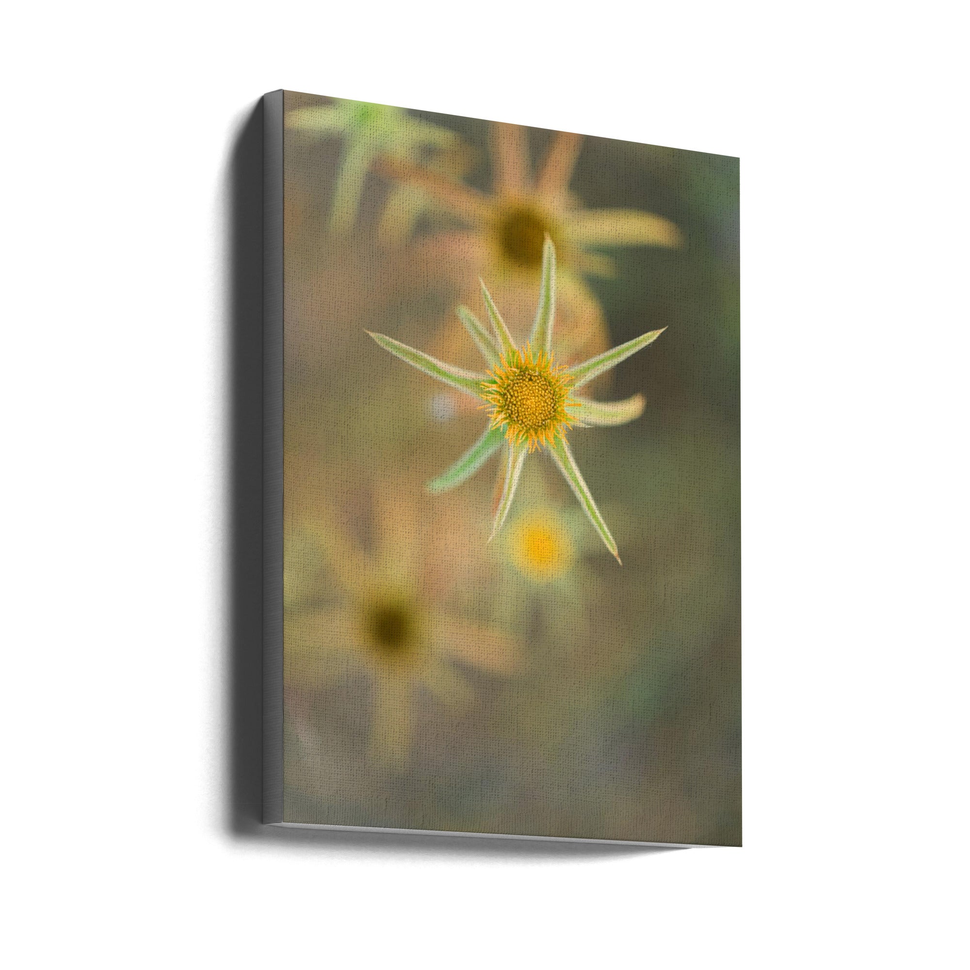 Akustik - Summer Flowers 3