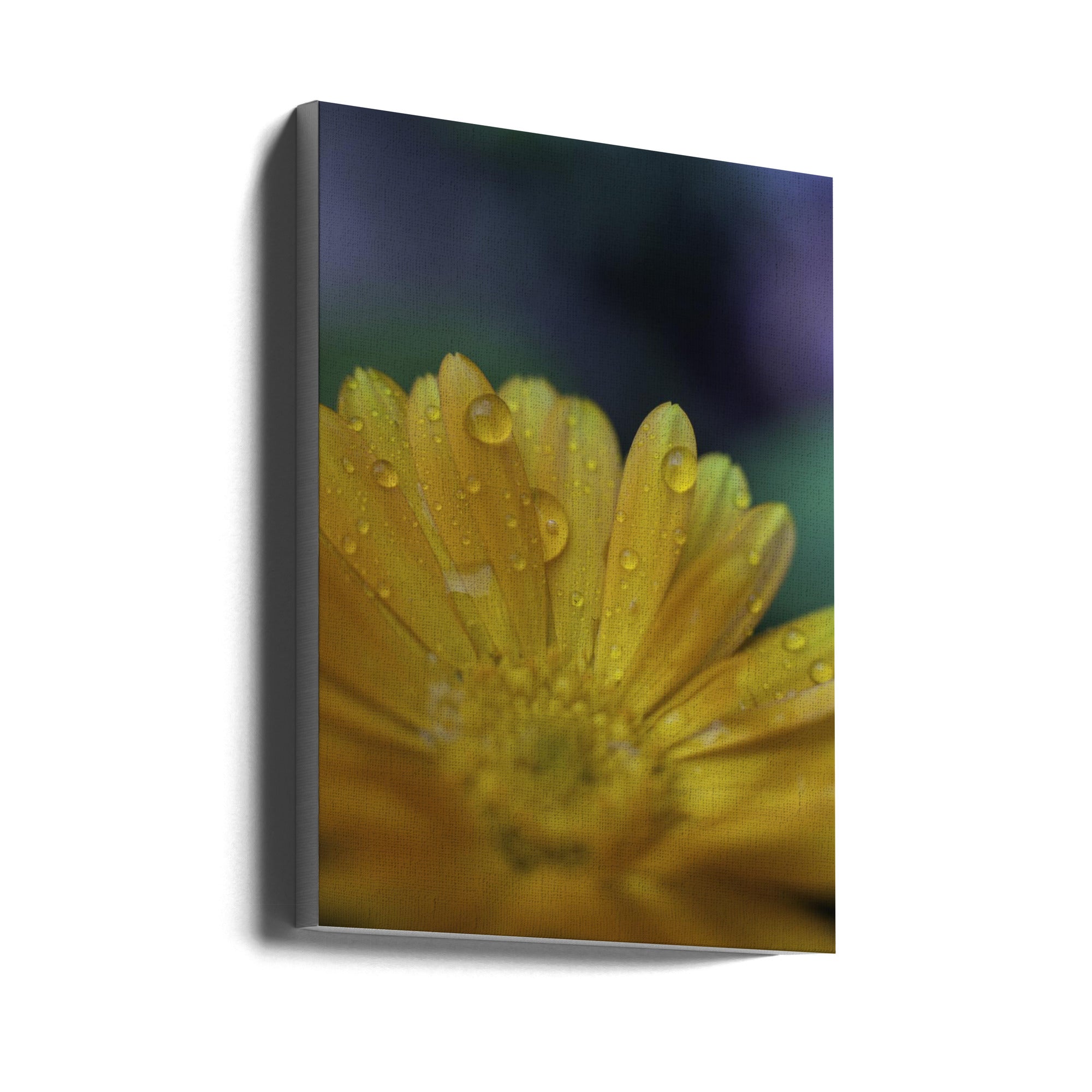 Akustik - Summer Flowers 5