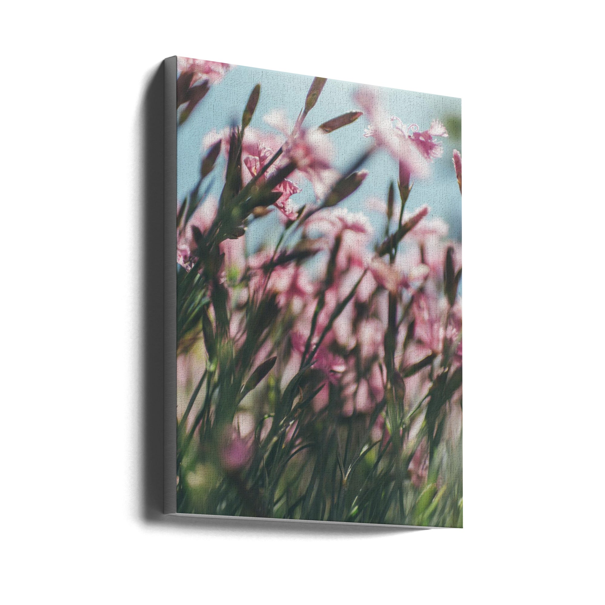 Akustik - Summer Flowers 94