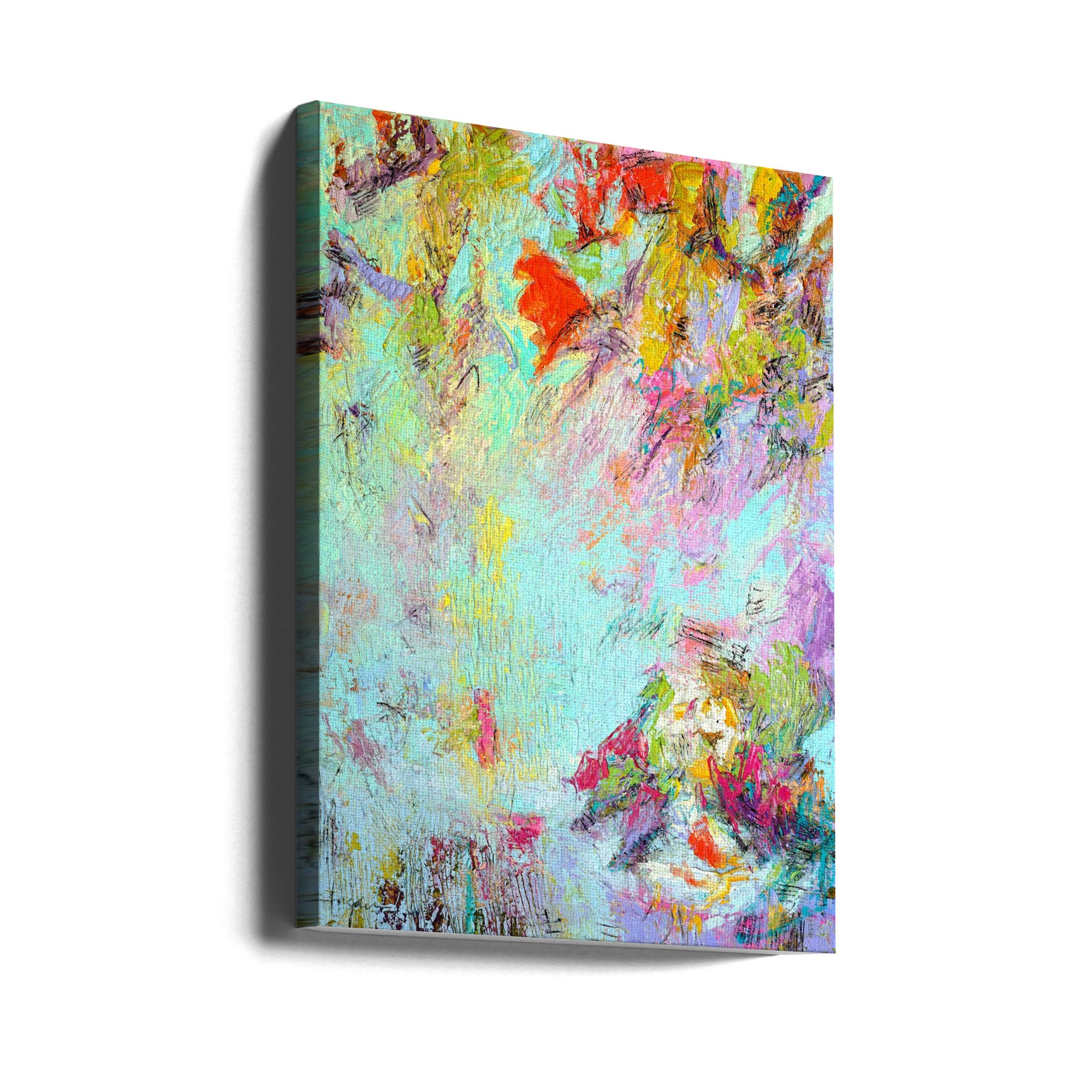 Canvas - Metamorphosis 5800