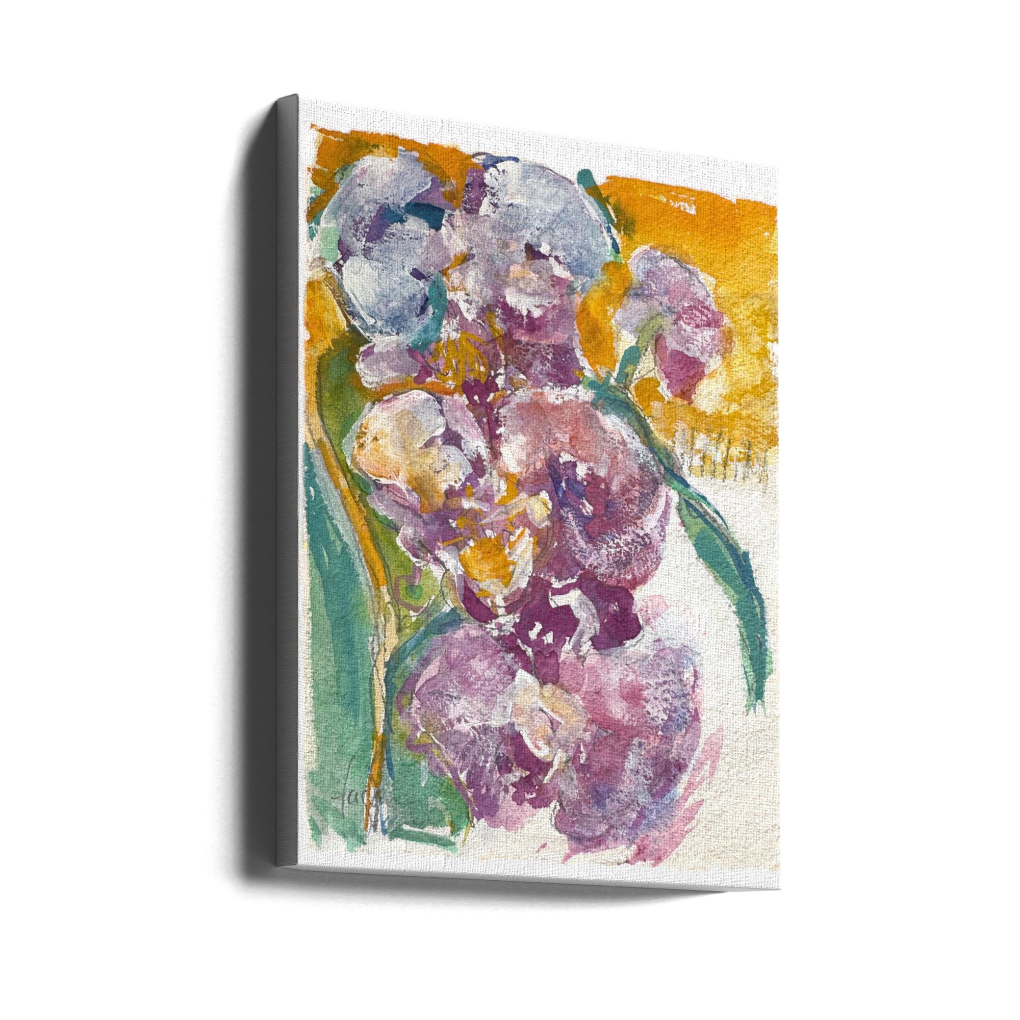 Canvas - Orchidpassion4