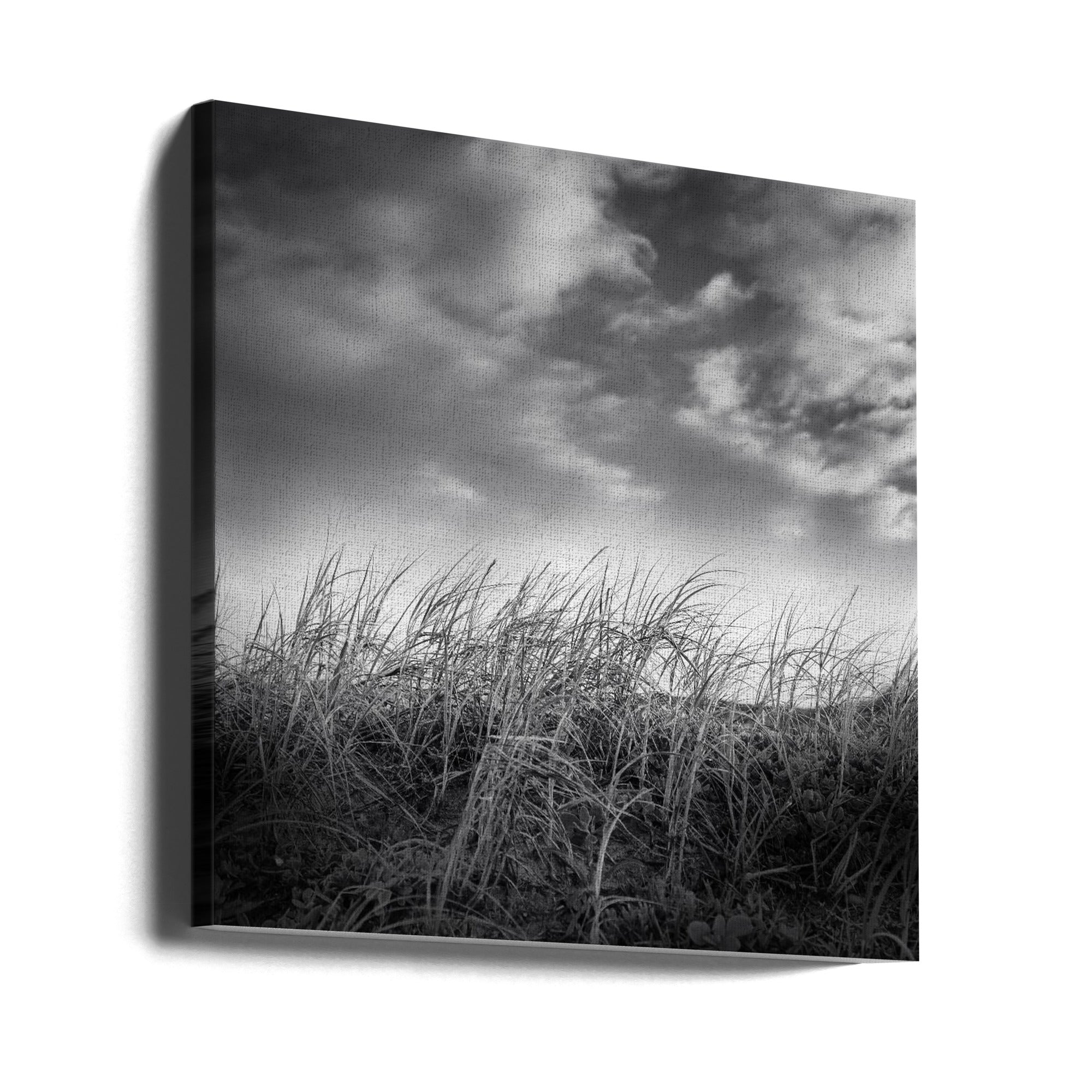 Soothing Meadow - Ray Truter Photography Fine Art Originals - Admen.dk