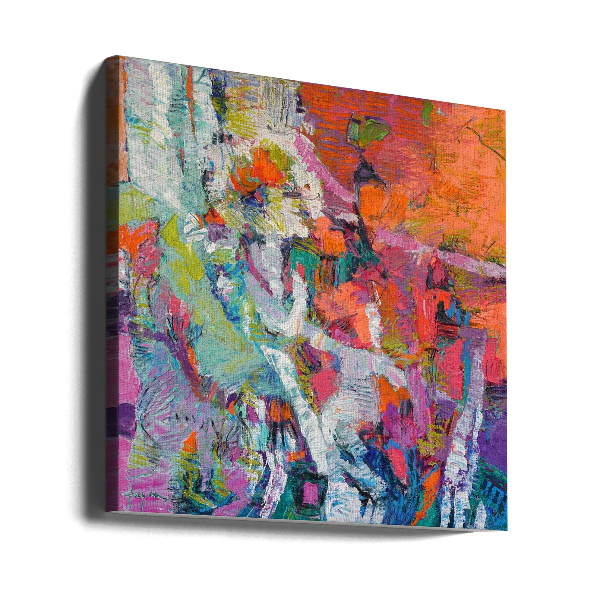 Canvas - Mycoral climbing rose 5800