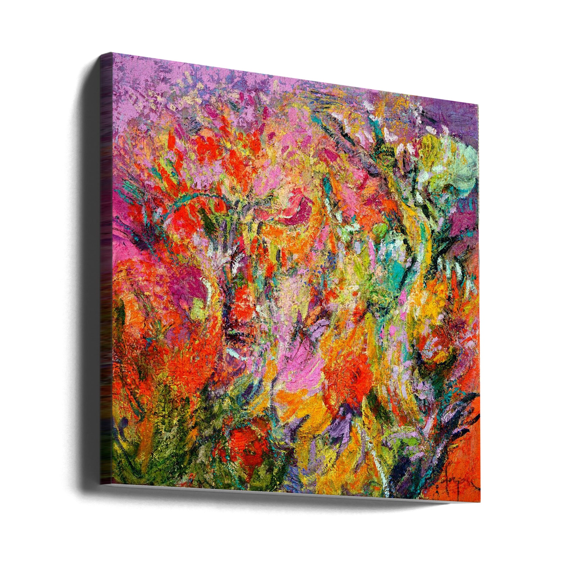 Canvas - Rosegarden6 5800
