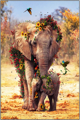 Plakat - Elefant mor og unge