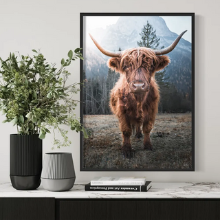 Plakat - Highland kvæg ved skoven
