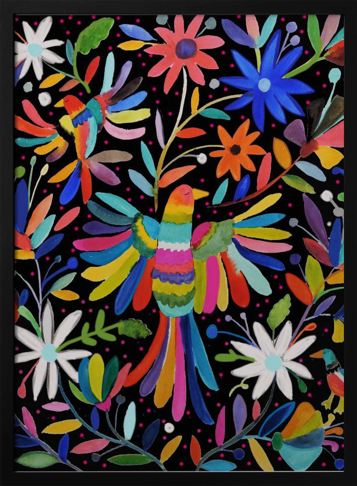 Plakat - Pajaros - Admen.dk