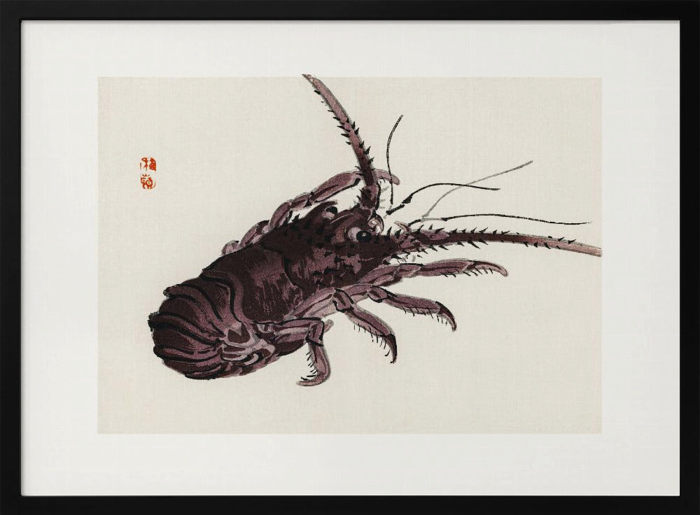 Plakat - Crayfish