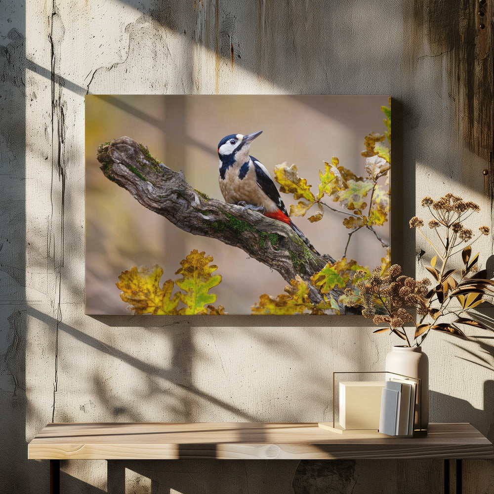 Canvas - Autumn woodpecker