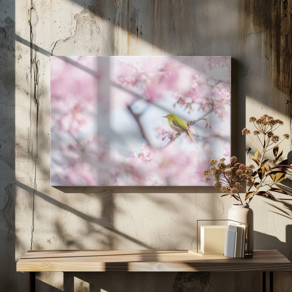 Canvas - Cherry-blossom color