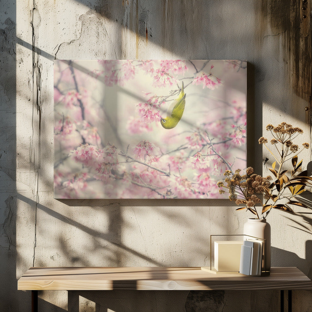 Canvas - Cherry-blossom color - Admen.dk