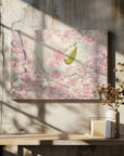 Canvas - Cherry-blossom color - Admen.dk