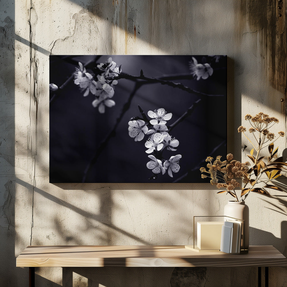 Canvas - Petite Fleur de mes nuits