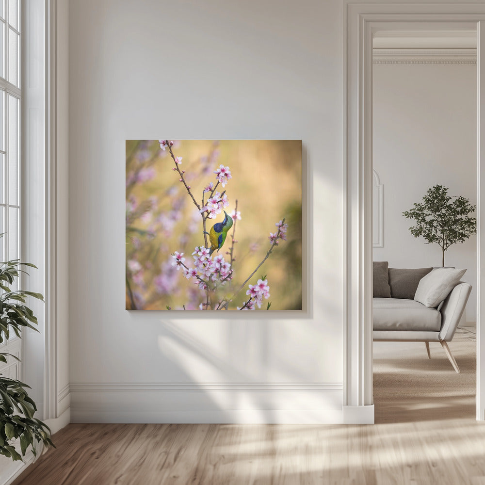 Canvas - Bird Whispering to the Peach Flower