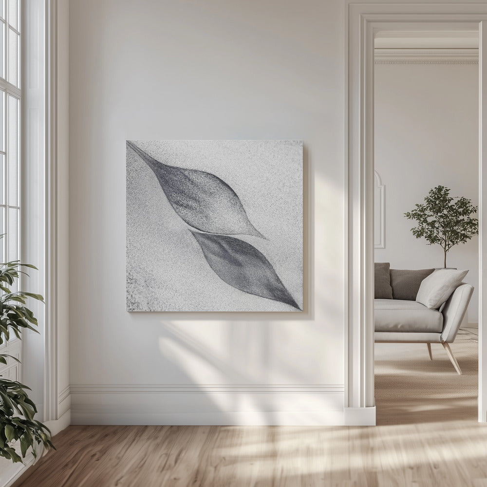 Canvas - shaped by a creative wind - Admen.dk