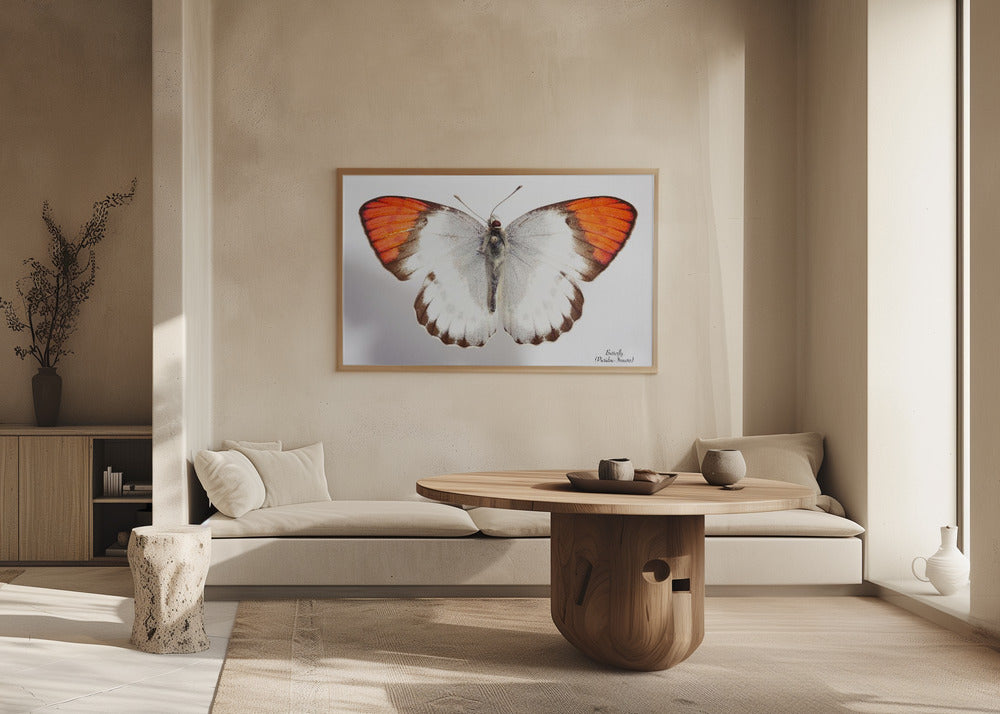 Plakat - Butterfly - 3