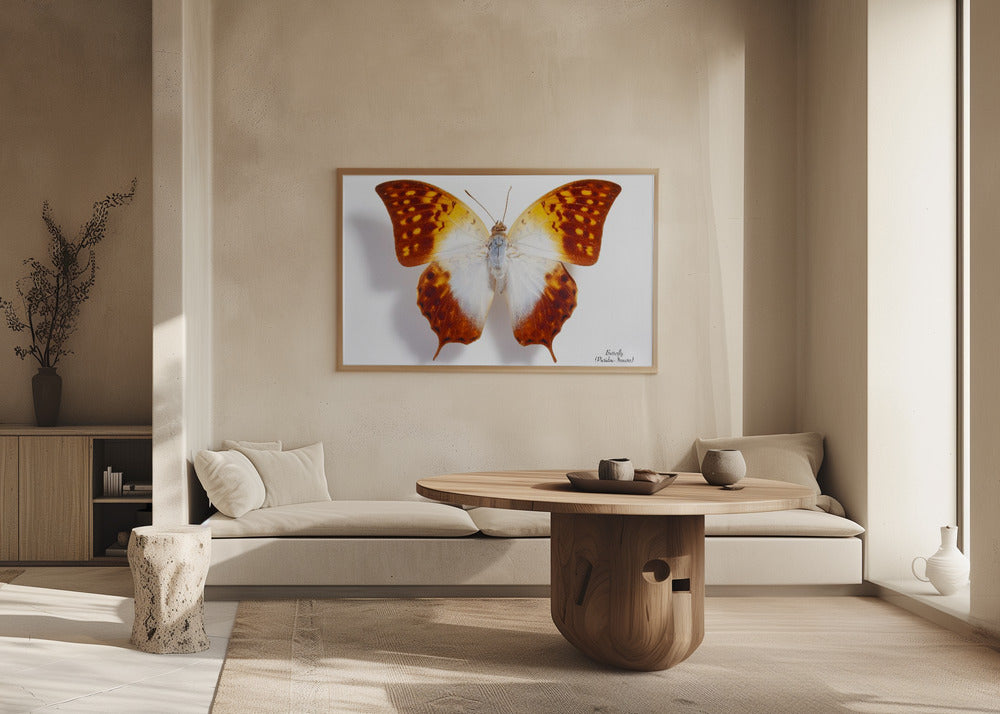 Poster - Butterfly - 4