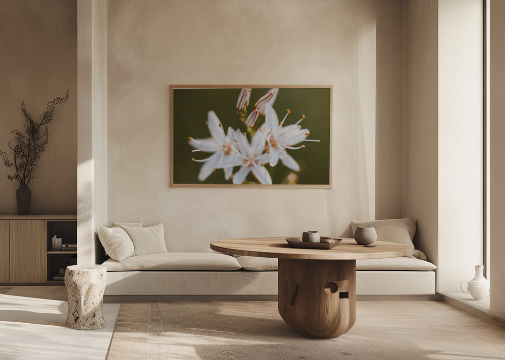 Plakat - White Flowers 10