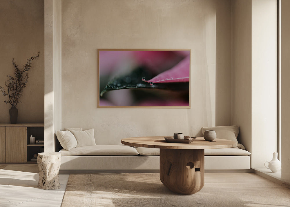 Plakat - Summer Flowers 61 - Admen.dk