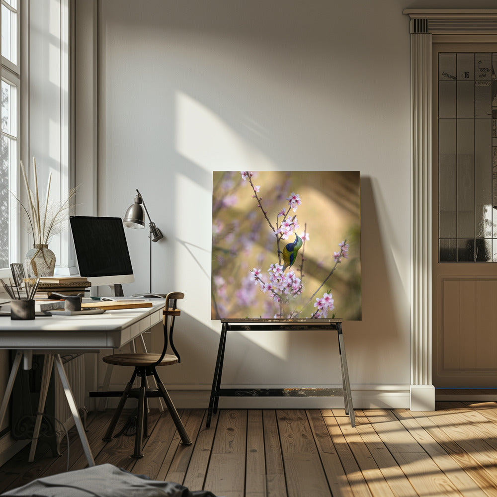 Canvas - Bird Whispering to the Peach Flower