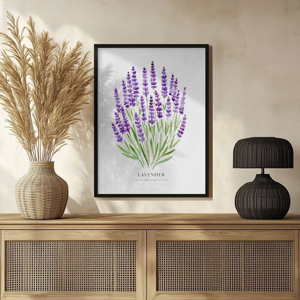 Poster - Lavender I