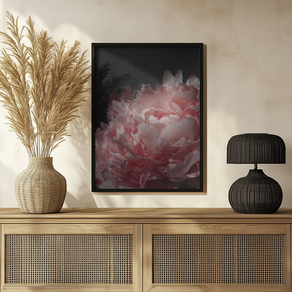 Plakat - Moody blush peony I