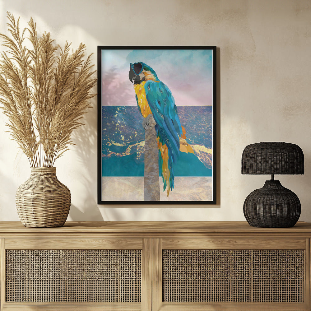 Plakat - Macaw On Holiday 01