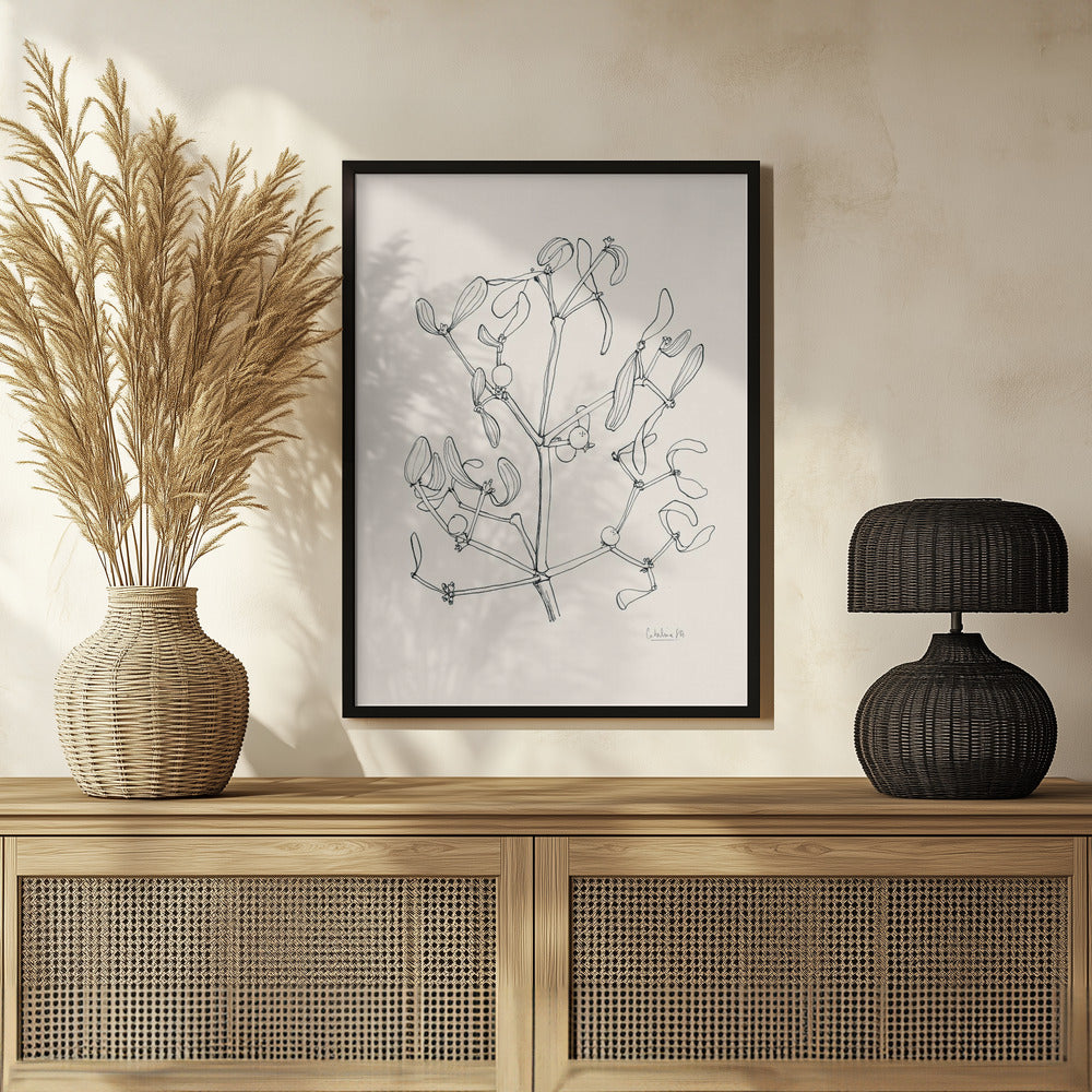 Plakat - Misteltoe ink drawing