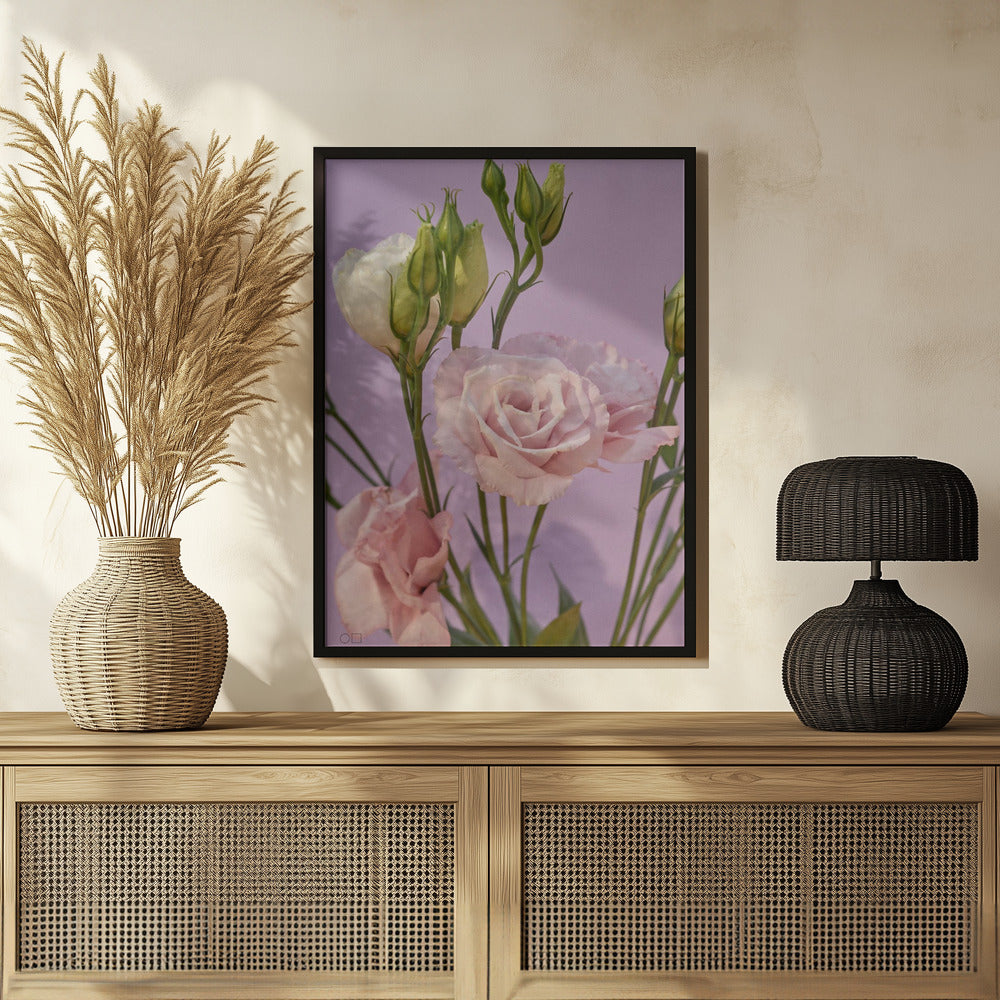 Plakat - 60