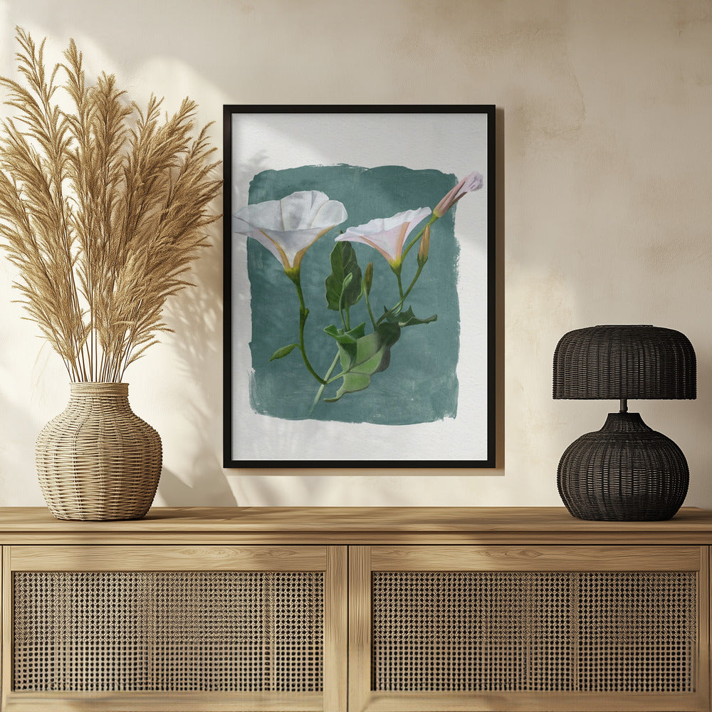 Plakat - Morning Glory