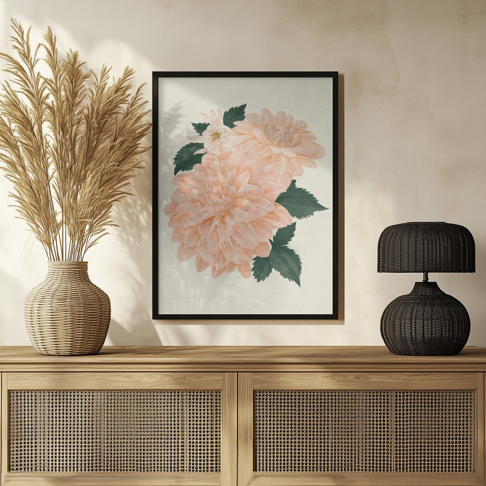 Poster - Pink Dahlia on Cream