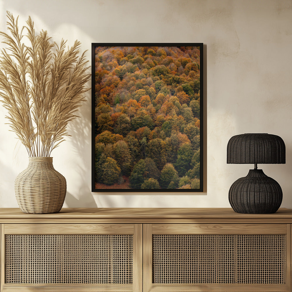 Plakat - Autumn Forest 04